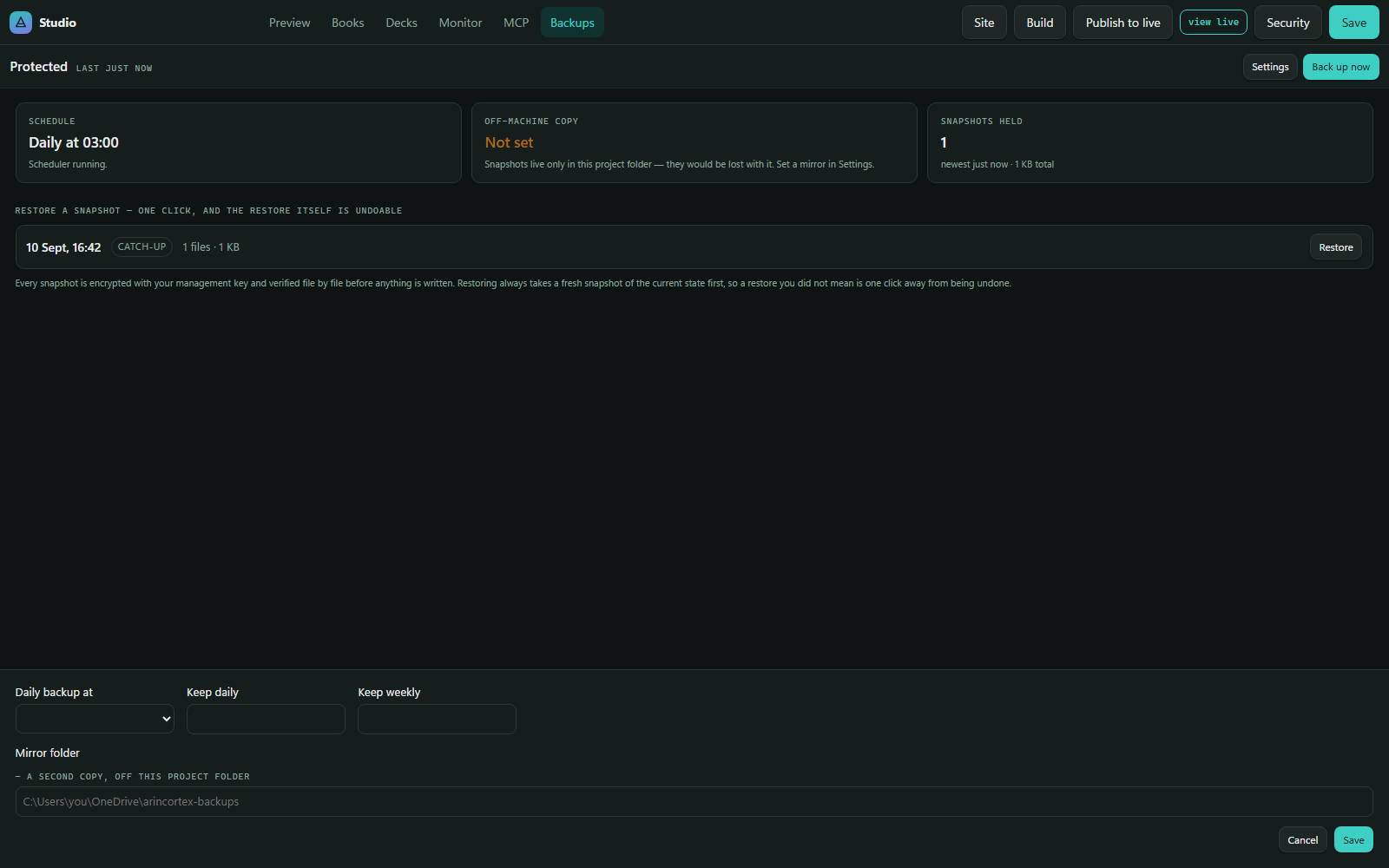 The Backups tab — scheduled, encrypted archives of the whole publication.